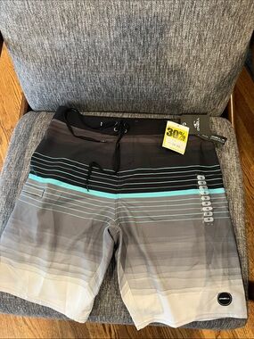 O'Neill Men's Black, Gray & Teal Striped Boardshorts